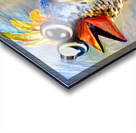 498E8838 C98A 4914 BC19 A418DC9EC5C0 Acrylic print