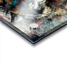 45DB4B16 88A8 47D2 BB4D C9A59720477D Acrylic print