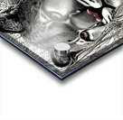 B75D7DC4 DBF0 4897 8FF9 3137B4786290 Acrylic print