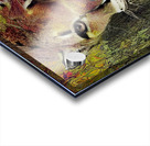 0B841F22 FE04 48A1 93A5 F262008C27A8 Acrylic print