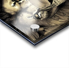 E8BEC791 67DF 4210 806E 4E4C06E9B715 Acrylic print