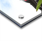 Corners Acrylic print