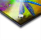 6B91644A C056 4065 9469 93EFE781B85C Acrylic print