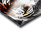 4F9A3122 EF90 4154 9D7C FF3970694692 Acrylic print