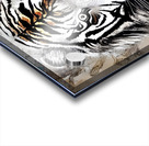 AA556497 CFF1 4936 8F16 2B4A546E24A6 Acrylic print