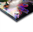 57DEB0BB 1E7C 44C7 9935 9A6687040E44 Acrylic print