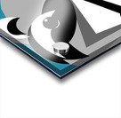 Raccoon Abstract Acrylic print