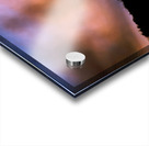 IMG 3303 Acrylic print