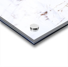 DSC03412 2 Acrylic print