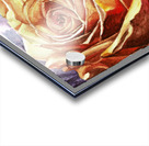 YELLOW ROSE  Acrylic print