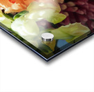 Carnation and friends Acrylic print