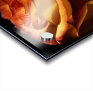 Fiery Rose Acrylic print