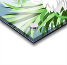 Mute Swans Acrylic print