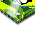 Yellow and Blue Macaw Acrylic print