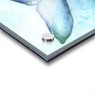 Whale Tail   Acrylic print