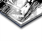 The Jester Acrylic print