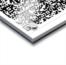 The Truth Acrylic print