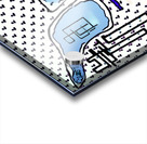 The Bird Acrylic print