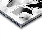 I Put a Spell on You Acrylic print