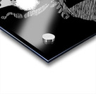 Keeping an Eye on Things Impression Acrylique