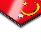 Turkey Acrylic print