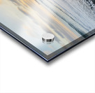 9A8D21FC 0C89 4268 9331 8B70AABA1A54 Acrylic print