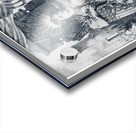 Artwork - Found and Restored - North America - 1888 Panorama of Nations - Antique Bookplate Print Acrylic print