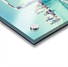 Found and Restored - Here Mammal Mammal  - Kodachrome Acrylic print