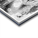 Found and Restored - Europe - 1888 Panorama of Nations - Book Etching Acrylic print