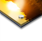 Nature Photography - A Crown - Indian Camp Creek Wentzville Acrylic print