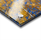 Aspen  Curve Acrylic print