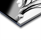 SCREAM Acrylic print