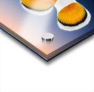 Clown Fish Acrylic print