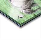 Baby Elephants Hugging  Acrylic print