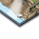 Elephants in a Row   Baby in Middle  Acrylic print