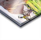 Elephant Kilomangero Acrylic print