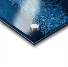 Schooling Fish Swallows Cave Tonga Acrylic print