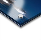 Tonga Calf Surfacing Acrylic print