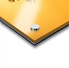 Sunset Tree Silhouette Acrylic print