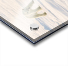 Polar Bears Walking Acrylic print