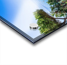 Ischia and Bougainvillea  Acrylic print