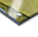 background of green algae on river  Acrylic print