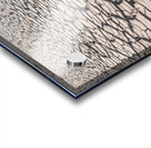 cracked clay soil  Acrylic print