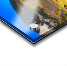 Cattle Grazing Autumn Panorama Acrylic print