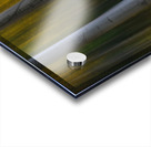 Roosevelt National Forest Wilderness Wonderla Acrylic print