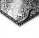 2022 Sept 27 ElliotCouesTrl03 Acrylic print