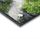 2022 Sept 27 NightHeron01 Acrylic print