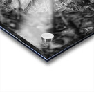 Pssst ...over here. Acrylic print