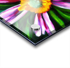 Flower Painting Acrylic print