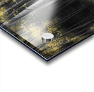 Aspen Tree Grove Into Darkness Acrylic print